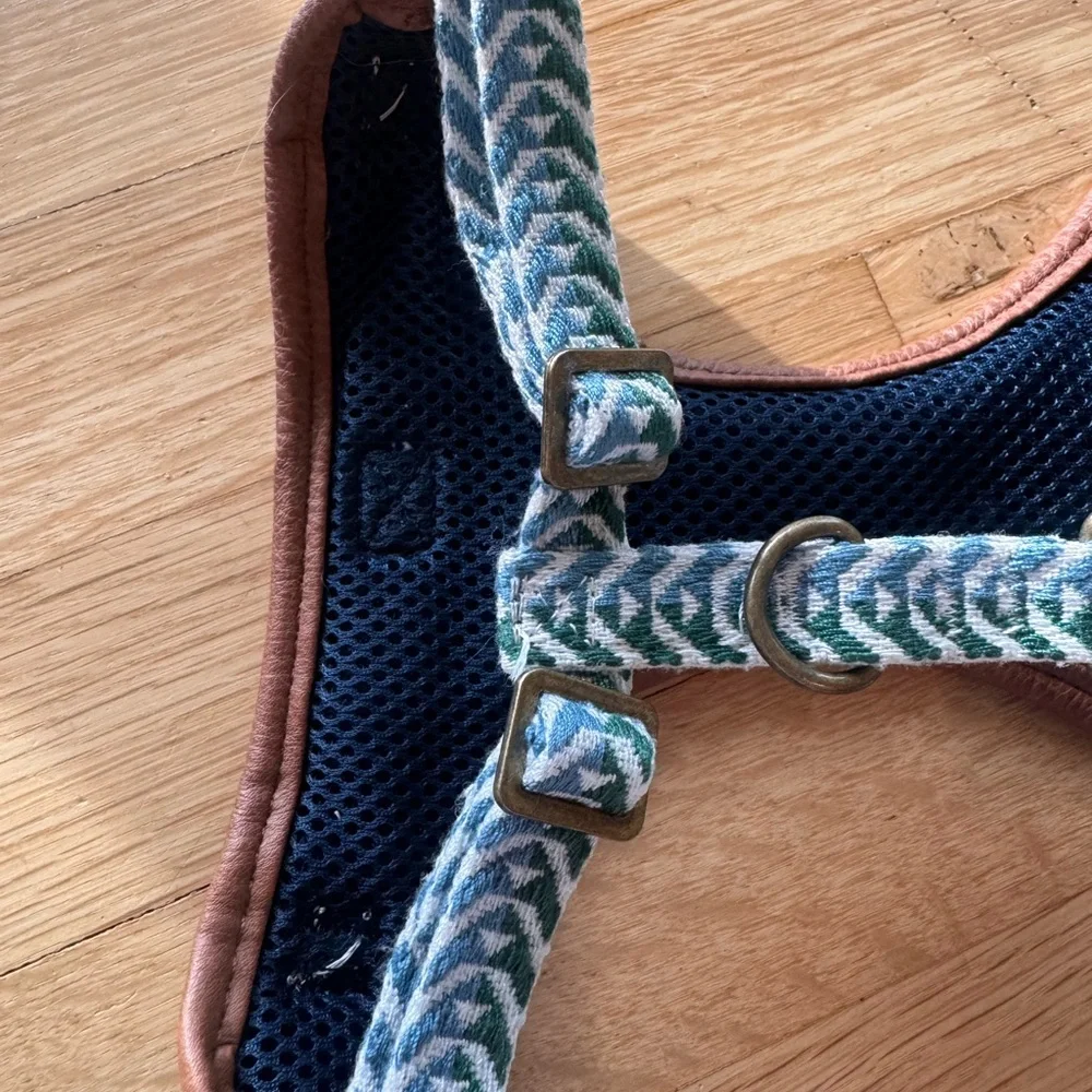 Top Paw Blue and Green Dog Harness